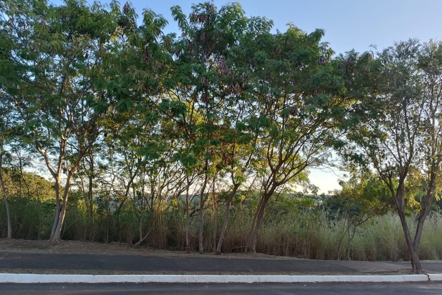 WhatsApp Image 2025-10-20 at 16.34.27 (2)