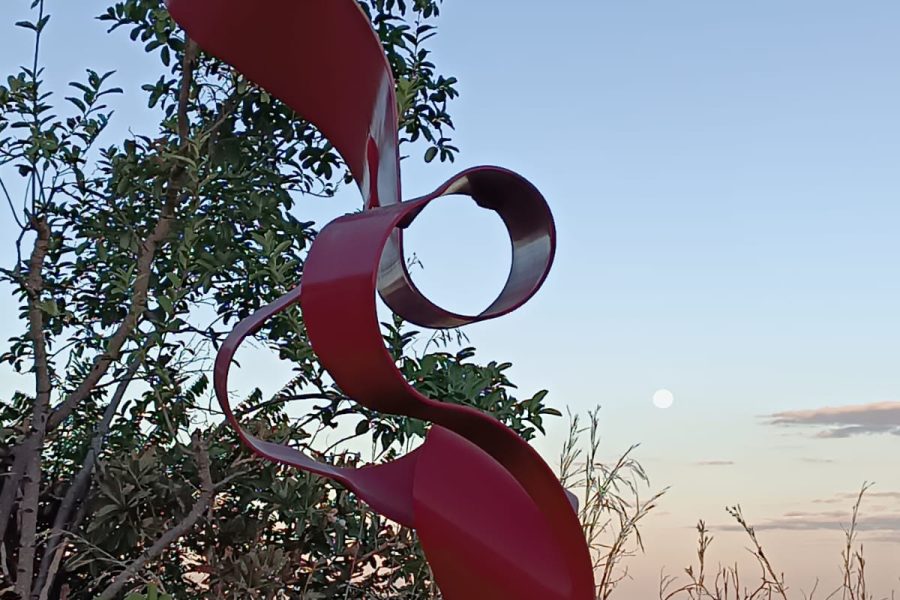 WhatsApp Image 2025-10-20 at 16.34.29